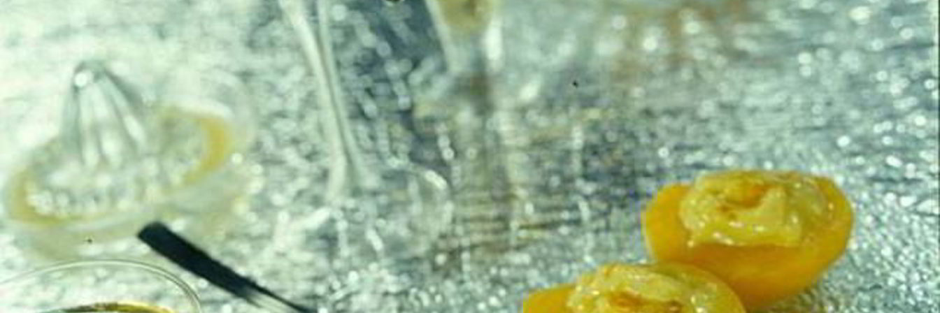 Абрикосовый десерт