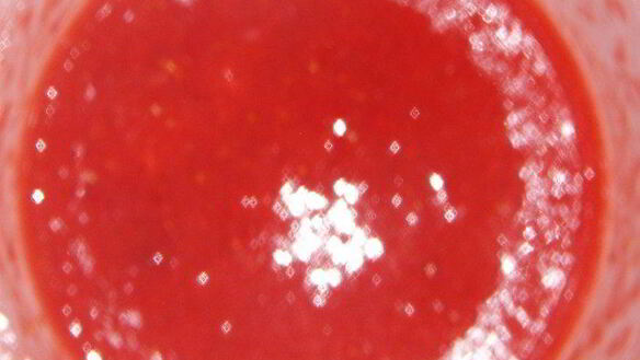 ШАГ 4. десерт клубника романов