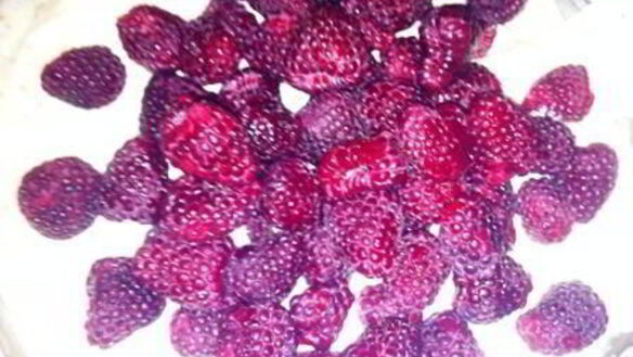 ШАГ 7. десерт семифреддо