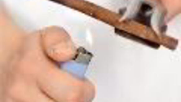 ШАГ 2. английский крем с корицей