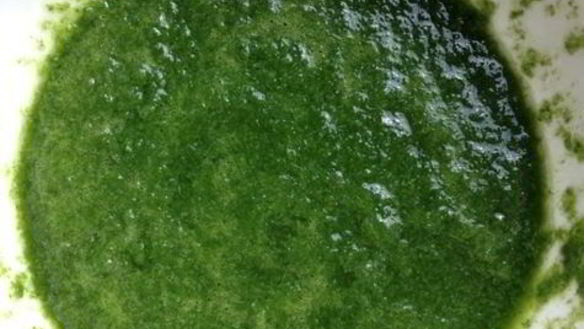 ШАГ 3. базиликовый курд