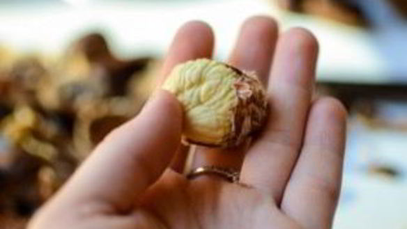 ШАГ 2. каштановый крем