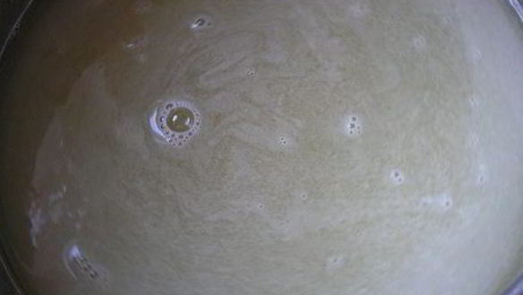 ШАГ 2. лимонно-лаймовый сорбет