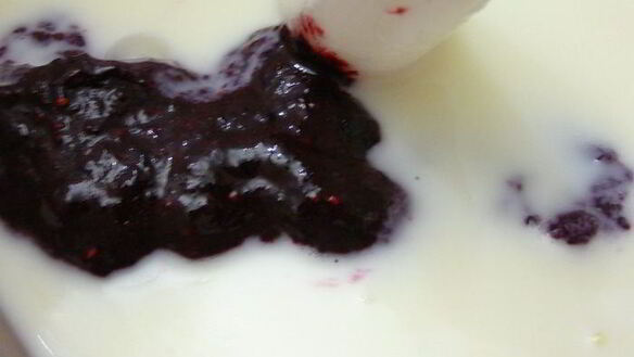 ШАГ 4. черносмородиновое мороженое с йогуртом