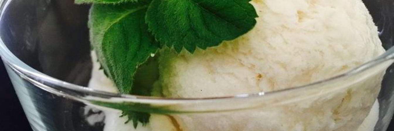 Диетическое мороженое Пломбир