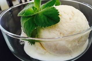 Диетическое мороженое Пломбир