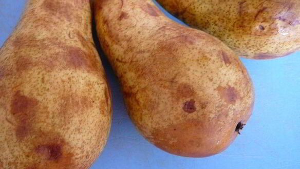 ШАГ 3. медовое мороженое карамельная груша