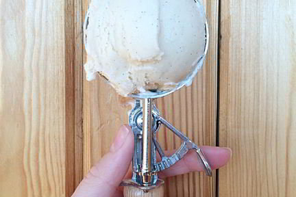 Соевое ванильное мороженое