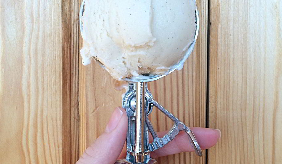 Рецепт соевое ванильное мороженое