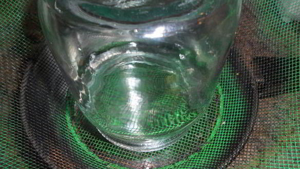 ШАГ 3. брусничный мусс