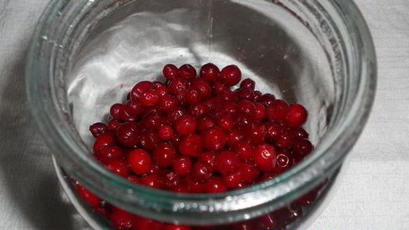 ШАГ 4. брусничный мусс