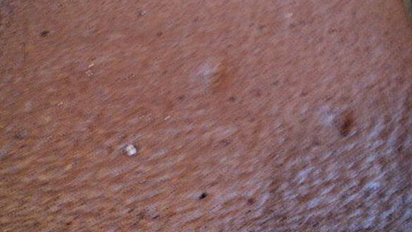 ШАГ 5. шоколадный рулет с черничным муссом