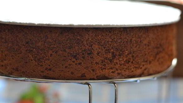 ШАГ 6. торт-мусс медово-яблочный