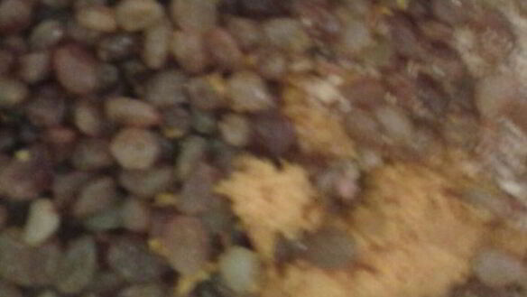 ШАГ 4. кулич пасхальный на желтках с шафраном