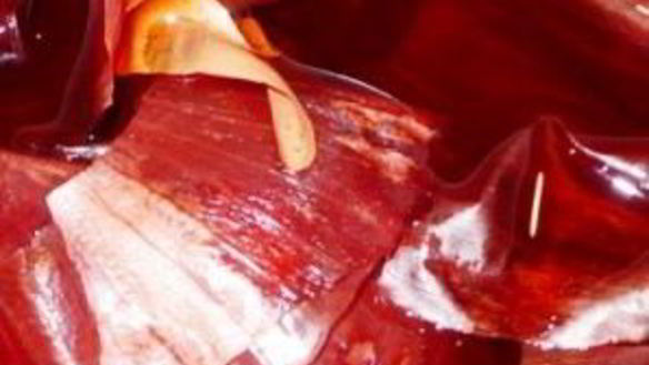 ШАГ 2. пасхальные крашеные яйца