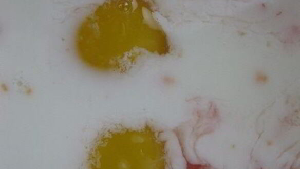 ШАГ 2. грейпфрутовое суфле