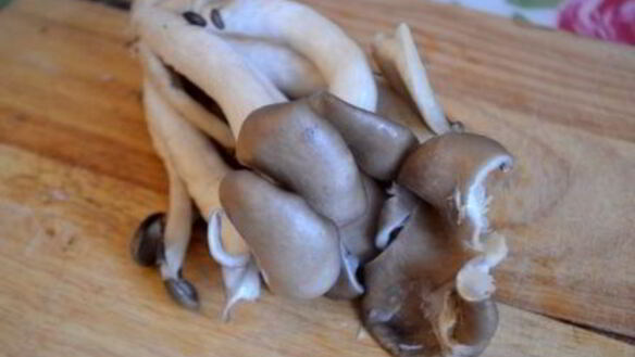 ШАГ 3. суфле из поленты с вешенками