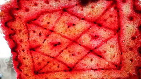 ШАГ 8. узорчатая пастила