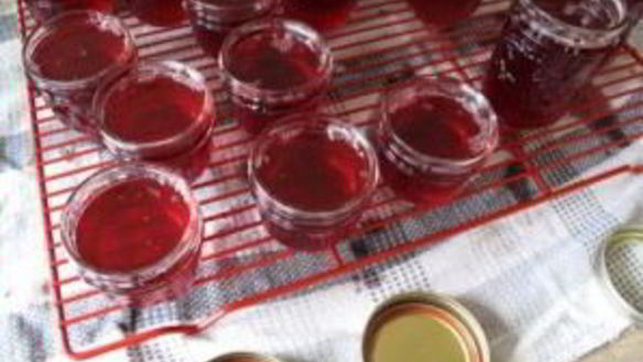 ШАГ 5. желе из брусники