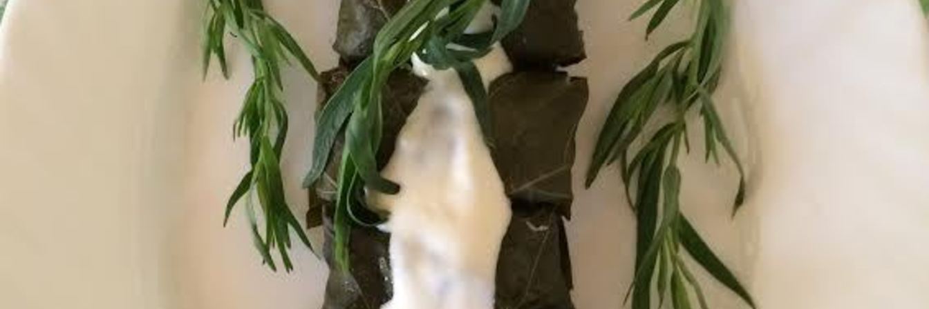 Долма — голубцы в виноградных листьях