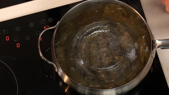 ШАГ 3. долма из баранины с мятным соусом