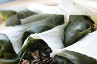 Долма с диким рисом