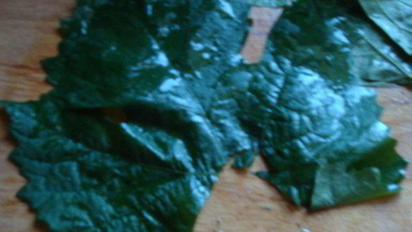 ШАГ 2. долма в виноградных листьях