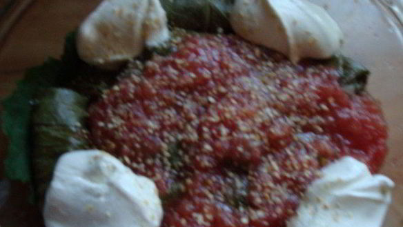 ШАГ 4. долма в виноградных листьях