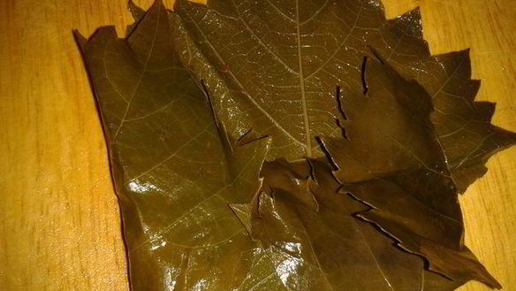 ШАГ 4. долма