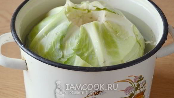 ШАГ 10. голубцы в томатном соусе