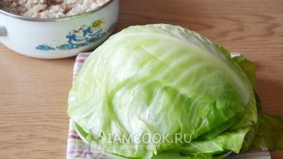 ШАГ 11. голубцы в томатном соусе