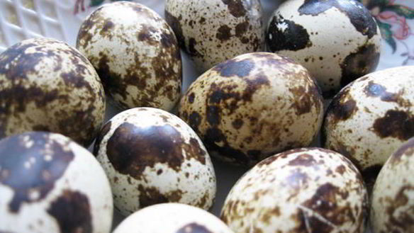 ШАГ 3. голубцы всевидящее око