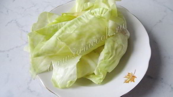 ШАГ 3. маринованные голубцы