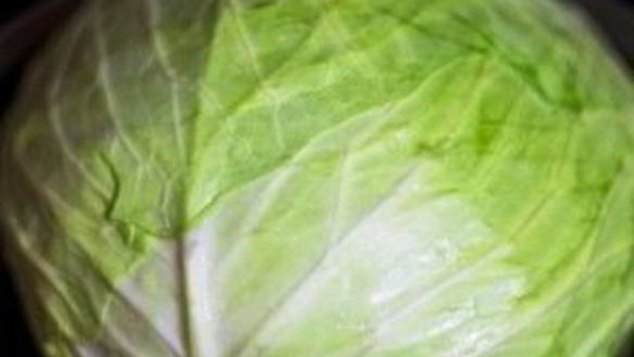 ШАГ 4. запеченные голубцы в сметанном соусе