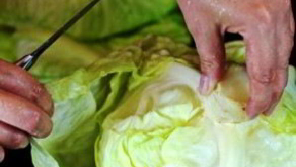 ШАГ 8. запеченные голубцы в сметанном соусе