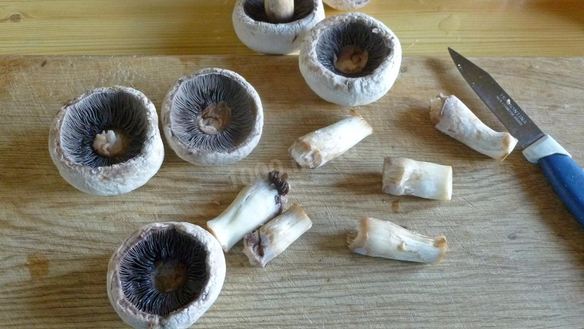 ШАГ 2. грибы с сыром и помидорами в духовке