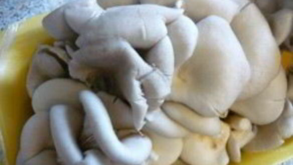 ШАГ 2. грибы, жаренные с колбасой