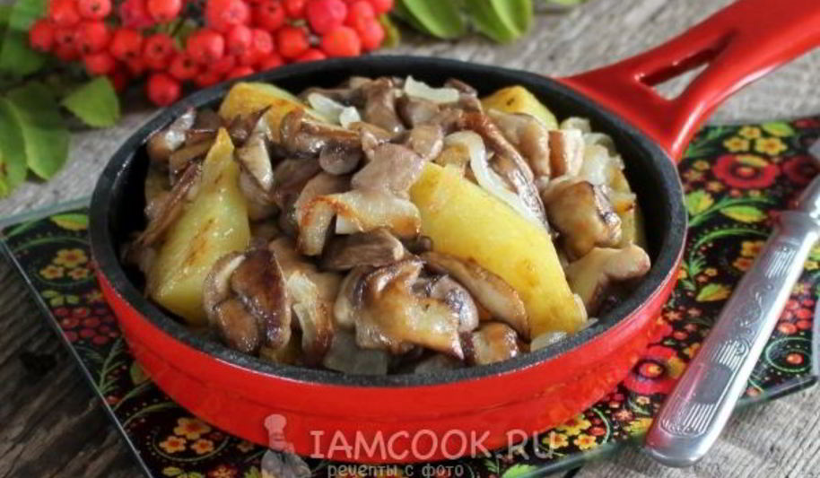 Рецепт маслята жареные с картошкой
