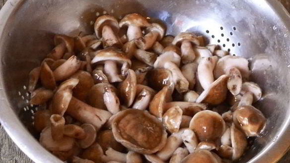 ШАГ 5. маслята жареные в сметане