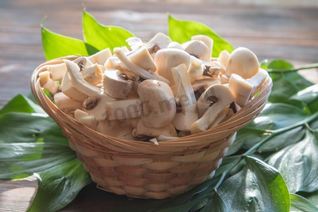 Мороженные шампиньоны