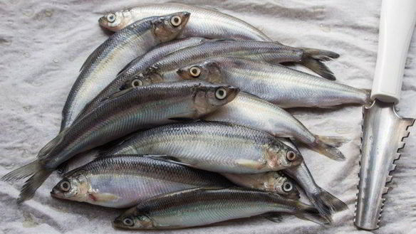 ШАГ 2. ряпушка жареная