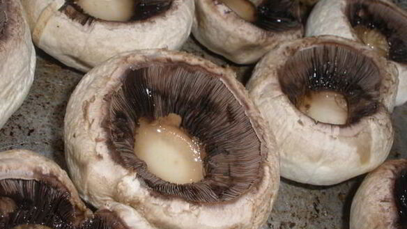 ШАГ 3. шампиньоны фаршированные курицей