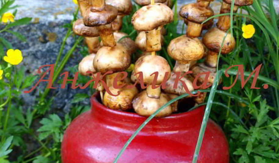 Рецепт шампиньоны на шпажках на мангале