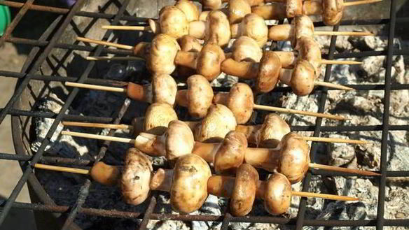 ШАГ 4. шампиньоны на шпажках на мангале