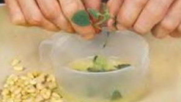 ШАГ 3. шампиньоны с кедровыми орешками