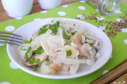 Сыроедческие грибы