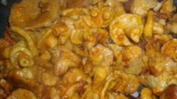 ШАГ 5. тушеные волнушки