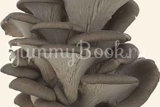 Вешенки в маринаде