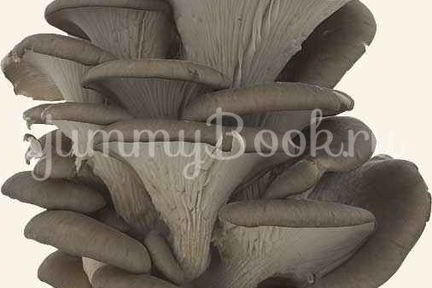 Вешенки в маринаде