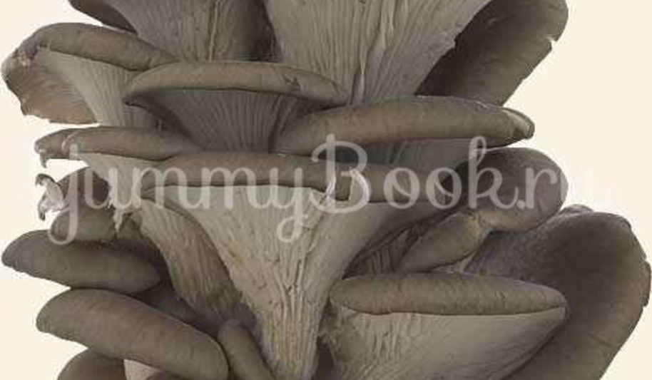 Рецепт вешенки в маринаде